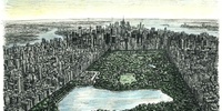 Imagen para el proyecto crecimiento ambienta en NY