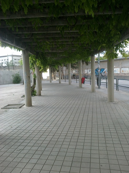 Protección vegetal (calle profesor sainz cantero, Granada)