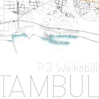 Imagen para la entrada P3. Walkability(Estambul)