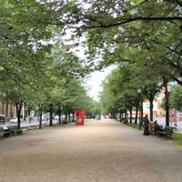 Imagen para la entrada Berlín,Laindon y transformación Unter den Linden