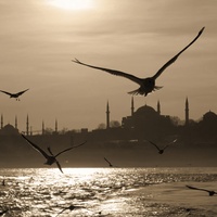 Imagen para la entrada Estambul: Formas e Intervención